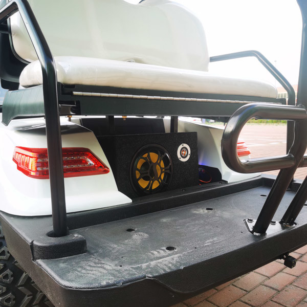 Сеатер электрической тележки для гольфа ОДМ 30мх 4 ЭВ вся местность для курорта отдыха клуба