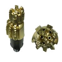 ダイヤモンドの訓練用具のBi中心のダイヤモンドの穴あけ工具8-1/2inch PDC Daulの穴あけ工具