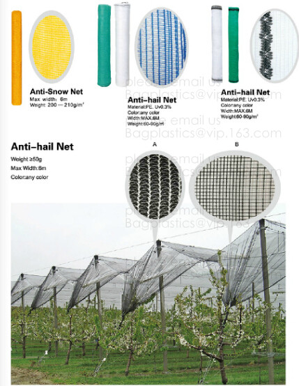 Weed Control Mulch Film, Agriculture Vegetable Black PE Films, 5 Holes Greenhouse Perforated Film