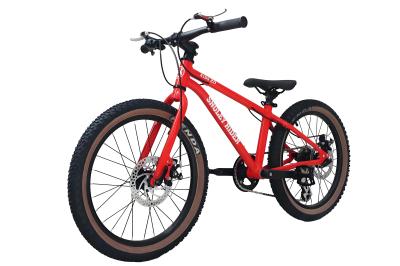 20 Kids Carbon Fiber Mtb Bike 21 Speed Cable Pull Disc Brake Cross Country