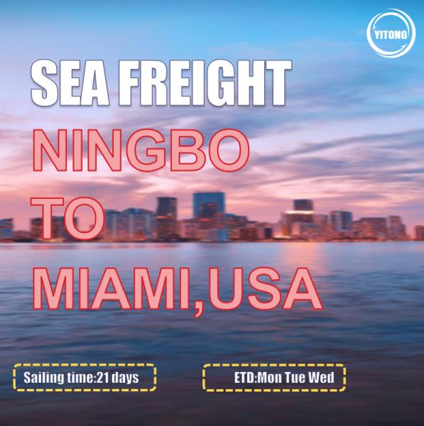 MSC EMC Liner International Sea Freight Solutions From Ningbo To Miami USA