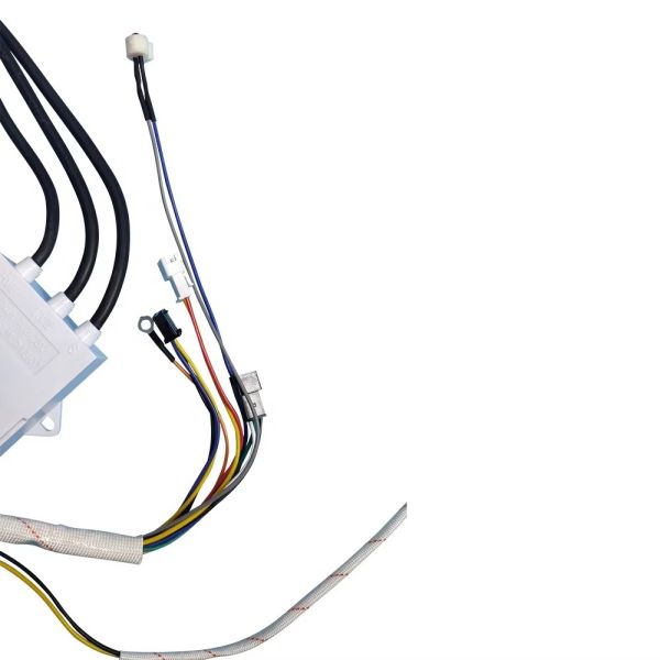 220V Input Ignition Coil Temperature Control Box Dual Pulse Igniter