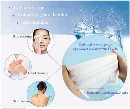 Daily Skin Cleaning Large Hand Sanitizer Wipes , 30 Sheets Alcohol Free Antiseptic Wipes