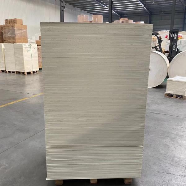 O PE descartável das matérias primas 210gsm do copo de papel revestiu o papel na folha