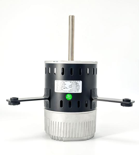 Moteur ECM pour ventilateur 550W 300-1200RPM 220-240V 50/60HZ
