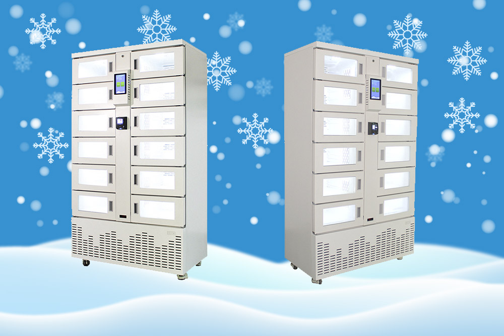Winnsen Cold Chain Frozen Smart Electronic Refrigerated Parcel Delivery Locker System For Pizza Cake