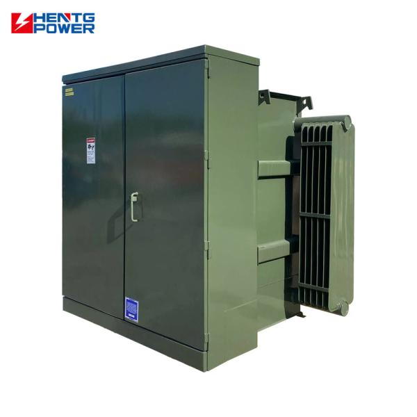 Compact 110kV Oil Immersed Transformer with IP00 to IP65 Protection and Copper Windings for Efficient Power Distribution