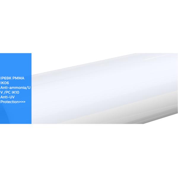 Фликер свободное Dimmable 40W IP69K IK10 160lm/w света доказательства СИД Dualrays D6 Tri с CE