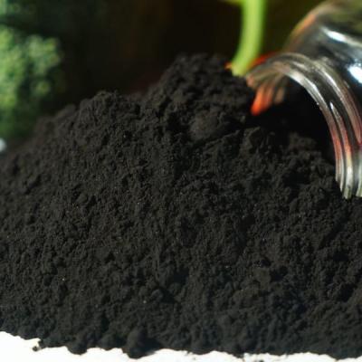 Feed Additive Sodium Humate Powder for Animals / Shrimp / Poultry / Swine
