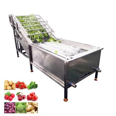 Multifunctional Ginger Washing Double Bubble Water Spinach Industrial Fruit Washing Ozone System