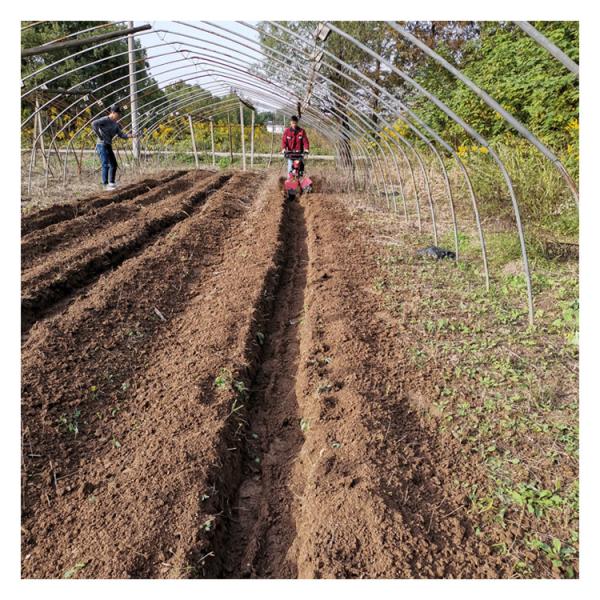 7HP Gasoline Engine Hand Held Weeding Machine for 70cm Wide Weeding Applications