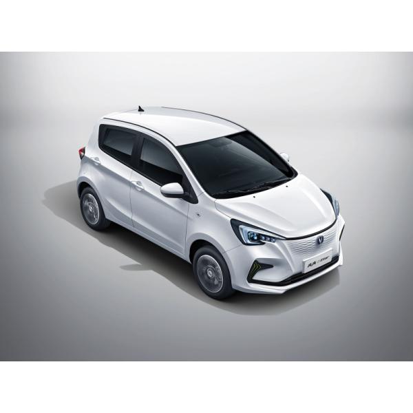 Pure Electric Mini EV Cars Max Speed 101 Km/H Long Range 310KM