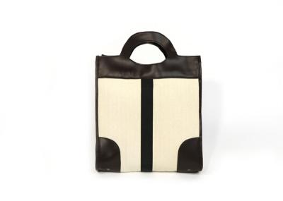 Lona tecida portátil Tote Bags do curso do plutônio
