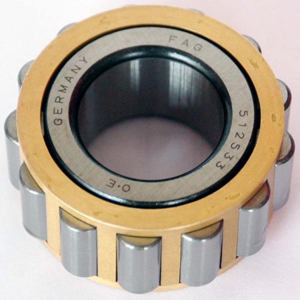 RN205M Eccentric Bearing