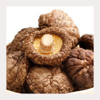 Cogumelos Shiitake Secos de Texturas Médias e Secas