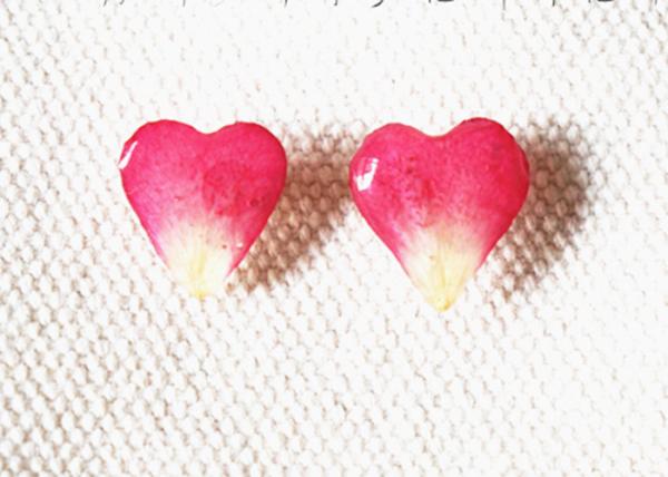 2018 Nami Studio Newest Creative Handmade Heart Dry Flower Stud Earrings