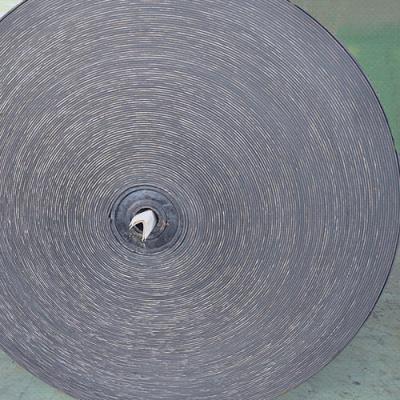 DIN22102 17Mpa 24Mpa Nylon Conveyor Belt