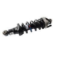 420512019AL Suspensão traseira de ar absorvedor de choque para Audi R8 Air strut