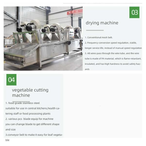 Industrial Fruit Bubble Washing Machine Tomatoes Pepper Bubble Washer for Fruit and Vegetable
