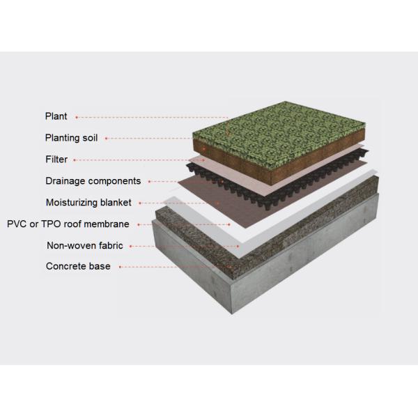 2.0mm PVC Roofing Membrane for Green Roofs 20m Roll