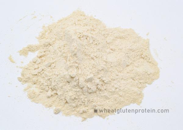 Vital Wheat Gluten Gluten puro em pó Amarelo claro 24 meses