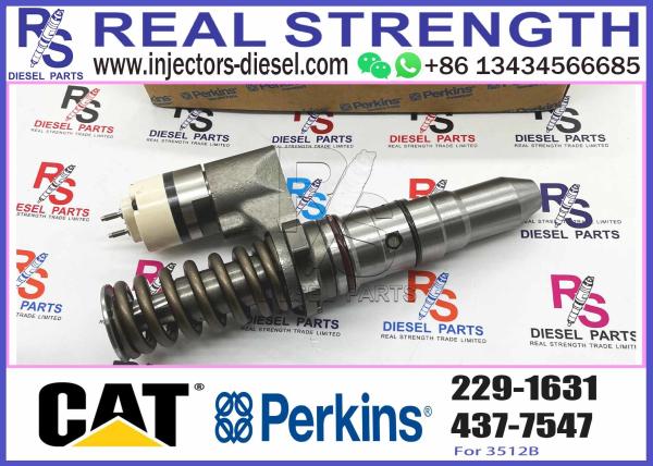 Excavadora Golden Vidar C12/3176B Injetor 153-7923 0R-9595 317-5278 350-7555 10R-1258 212-3468 229-163