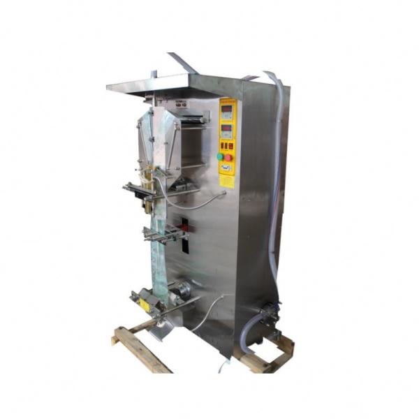 New Arrival Liquid Bag Packing Machine/Pouch Packing Machine/Cream Filling Machine