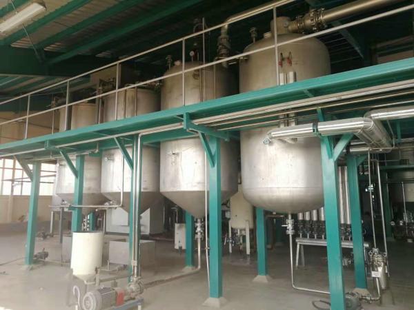 First-level Refinig Stainless steel 10TPD cooking oil refinery machine