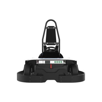 Kart removíveis da bateria para as crianças 900w Karting interno elétrico