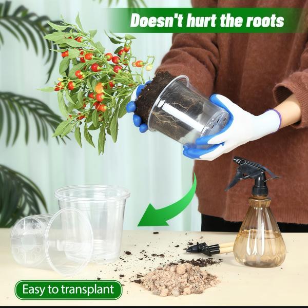 Transparent Phalaenopsis Flower Pot Transparent Orchid Pot