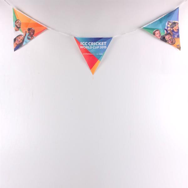 Wonderful Custom String Flag Digital Printing / Silk Printing