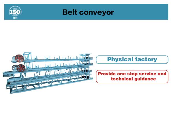 Motorized Belt Conveyor Equipment for Mining and Manufacturing