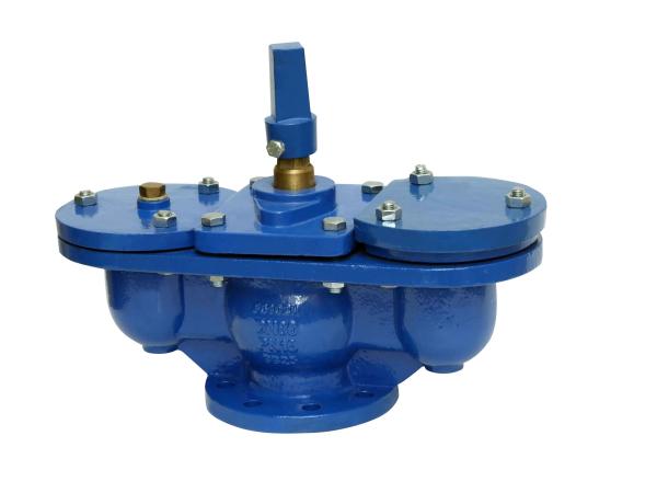 Q10 Original Cast Iron Plastic Spraying SS304 Air Vent Valve