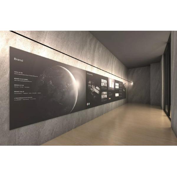 Приостанавливанный профиль приведенный прокладки нержавеющей стали 2835 шайбы стены горизонта линейным светлым черным белым приведенный ударом