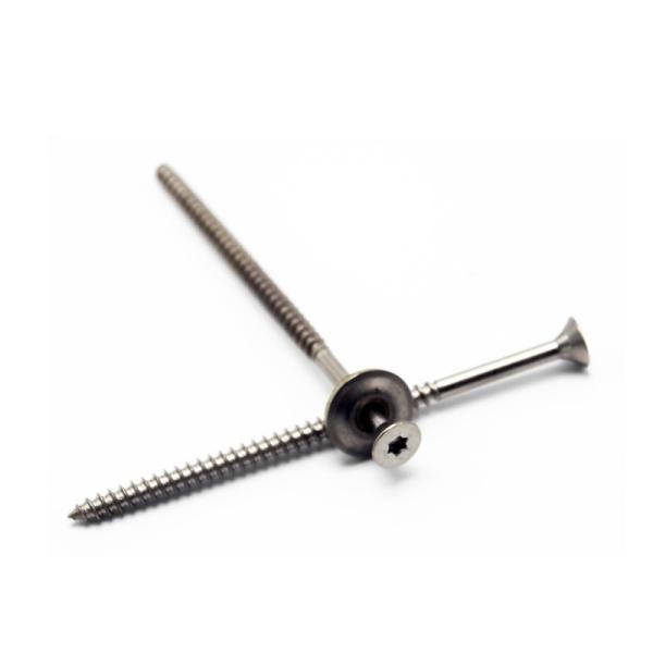 Torx Flat Head A4 Inox SUS 316 Stainless Steel Roof Screws Construction Fencing Beam T17 With EPDM Washer