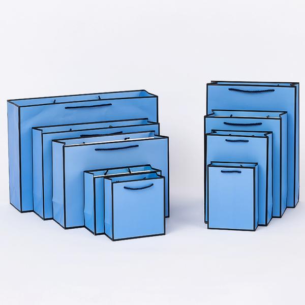 Напечатанный по заказу размер Эко-бумажная подарочная упаковка Торговые сумки Поставщики обуви Одежда