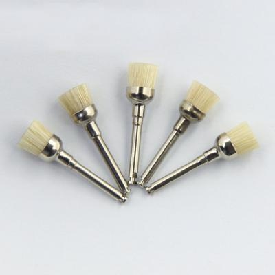 Preventative Dental Prophy Brush Bristle White Color Hard Bowl  Cup Shape Latch