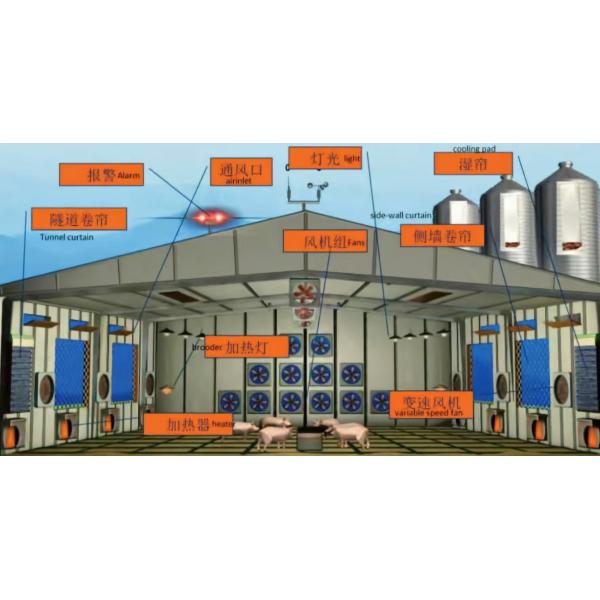 Cuadro de acero prefabricado Hogar de cerdo, estructura de acero Cobertizo de cerdos