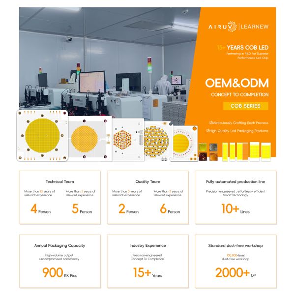 Wholesale High Luminous Efficiency 300W+300W 5555 Bicolor High Power COB LED Chip High CRI 95 White COB  for Film Video Light