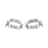 Bandas molares de acero inoxidable con anillo de ortopedia