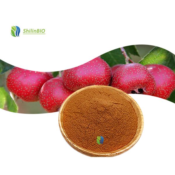 SLBIO Supply Hawthorn Leaf Berry Extract Flavonoids 5%-50% Plant Extract Hawthorn Extract Powder