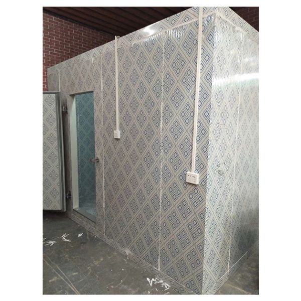 Customized Hard Polyurethane Foam Cold Storage Room with Digital Electronic Temperature Control and Auto Electrical Defrost