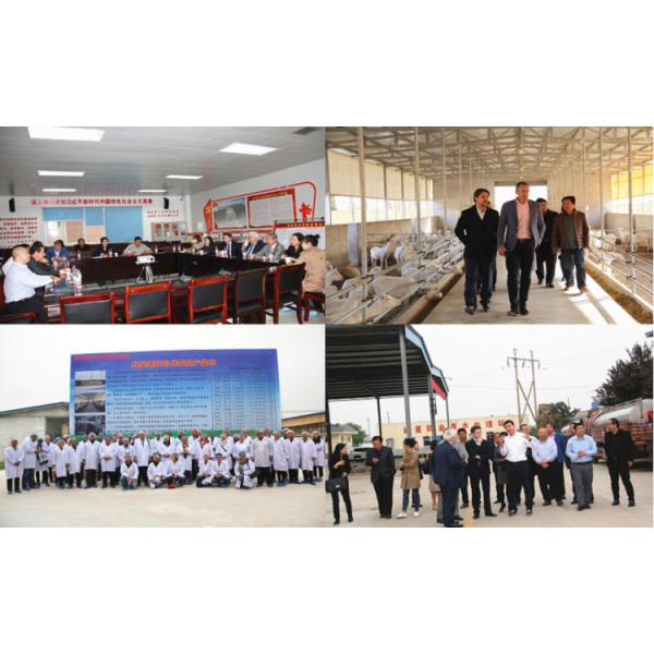 D90 порошок Whey молока козы ранга 25kg съестной обессоленный