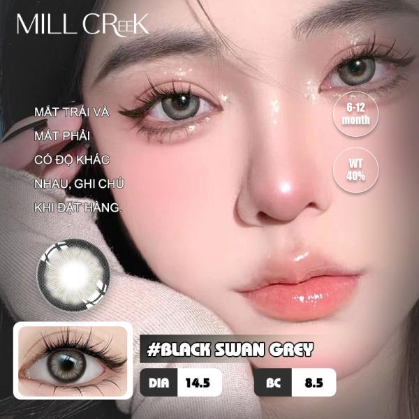 Natural Cosmetic Contact Lenses Millcreek Lenses 14.5mm Diameter In Brown Grey Color