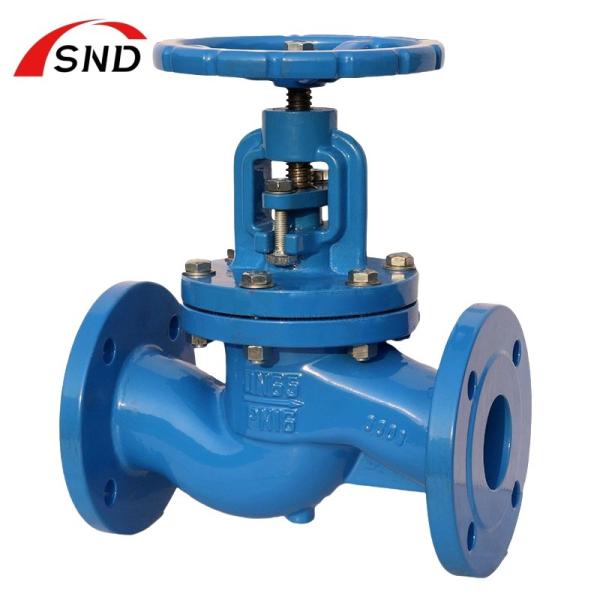 Cast Iron Corrosion Resistant Globe Valve For Chemical Industry