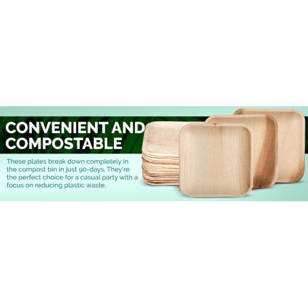 10-Piece Set of Palm Leaf Plates for Wedding Dinner Round and Square Disposable Dishes