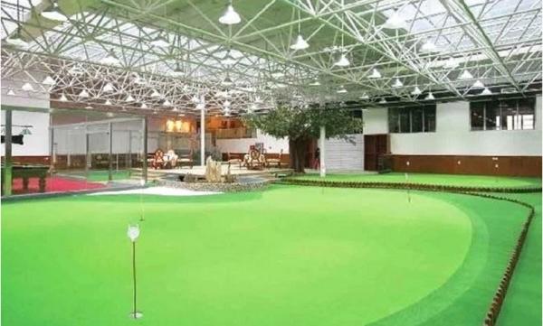 Fake Landscape Indoor Grass Mat / Plastic Floor Always Green Synthetic Turf