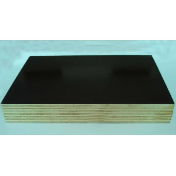 formwok film faced plywood manufacture