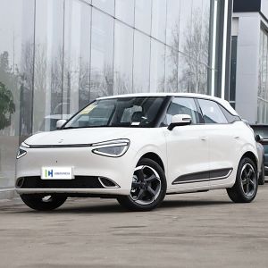 Electric Car
