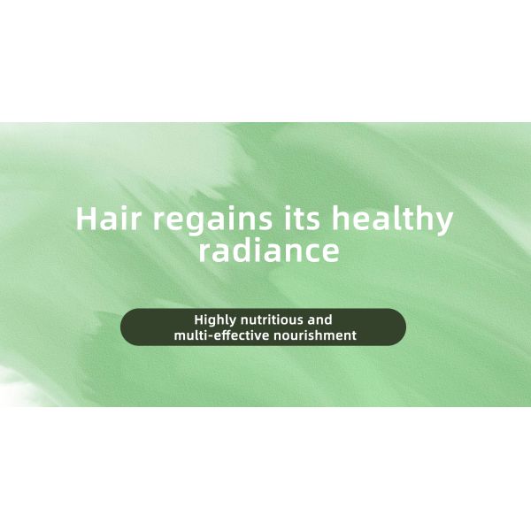 Shampoo et après-shampooing sans sulfate 4L, grand format, expert du cuir chevelu, soulagement des pellicules